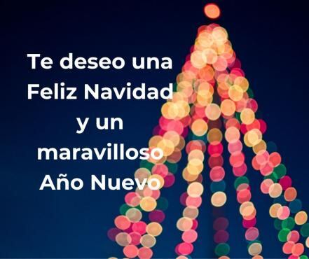 Feliz Navidad y Año Nuevo 2020