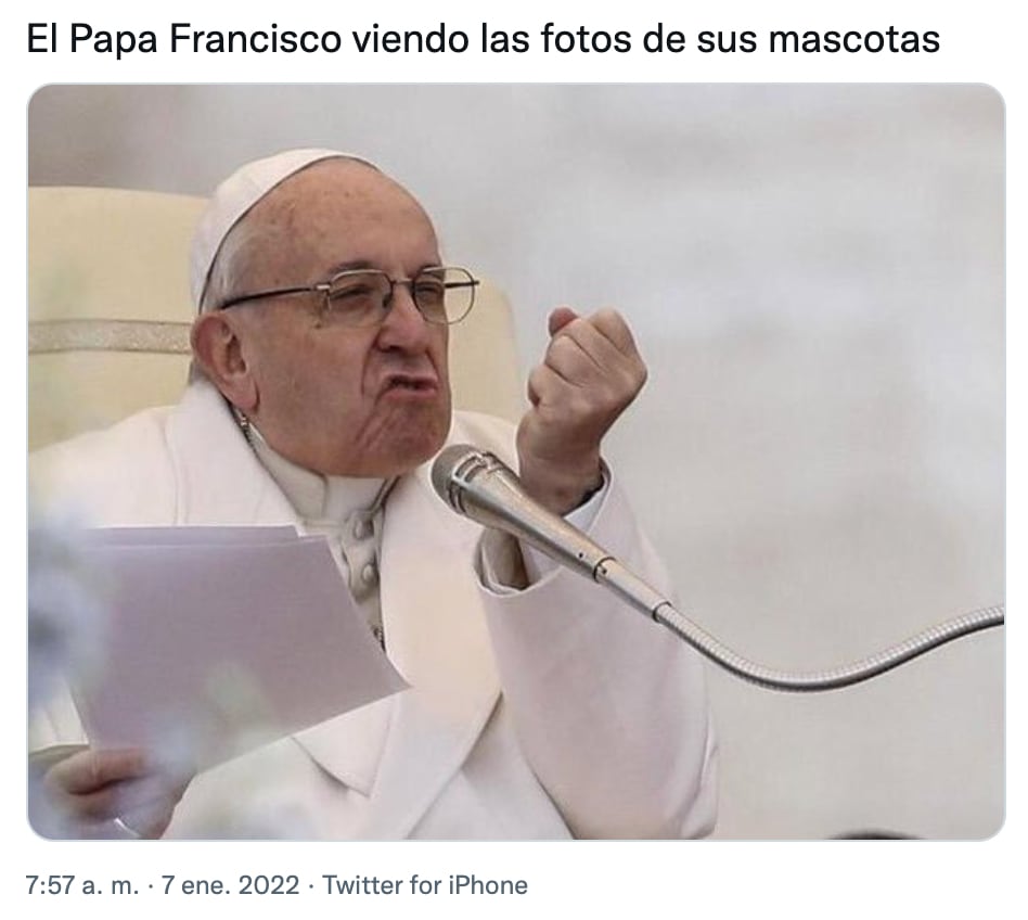 Meme del Papa Francisco y las mascotas