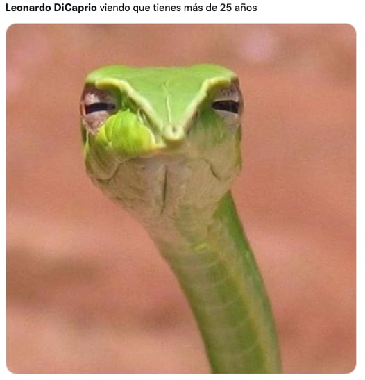 Memes de Leonardo DiCaprio y mujeres de 25 años
