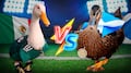 Merlín ya tiene rival: Escocia también se enamoró de un pato mascota