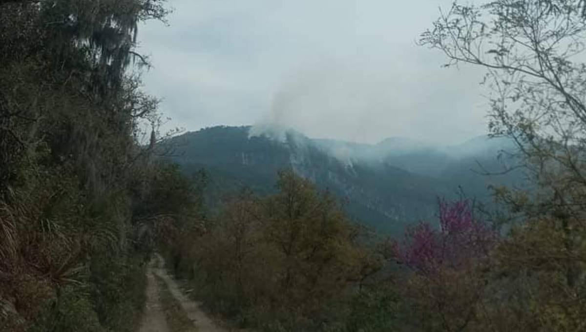 Incendio forestal en Hidalgo, Tamaulipas