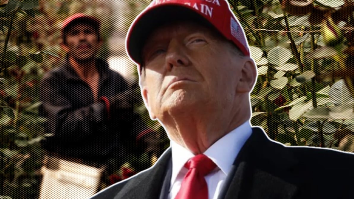 Donald Trump presidente electo de los Estados Unidos de Norteamérica