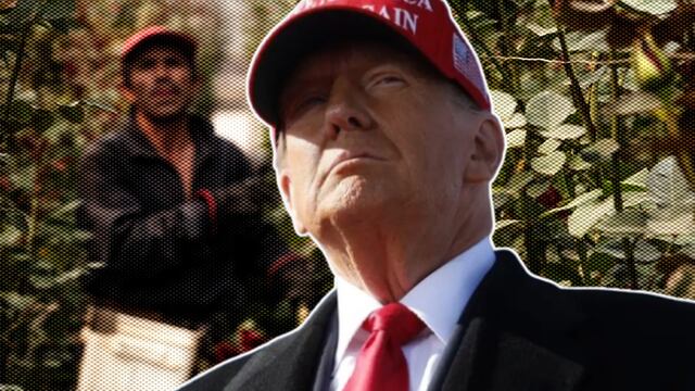 Donald Trump presidente electo de los Estados Unidos de Norteamérica