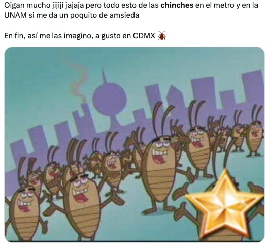 Plaga de chinches de la UNAM en CDMX desata los memes ansiosos de usuarios