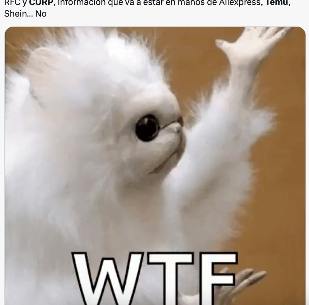 Temu y Shein ya piden CURP y RFC