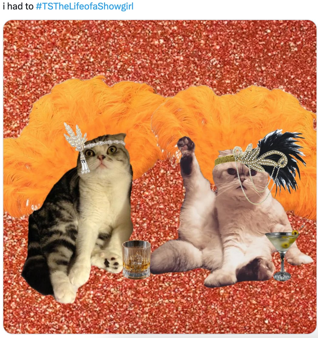 Los memes sobre The Life of a Showgirl, el nuevo disco de Taylor Swift