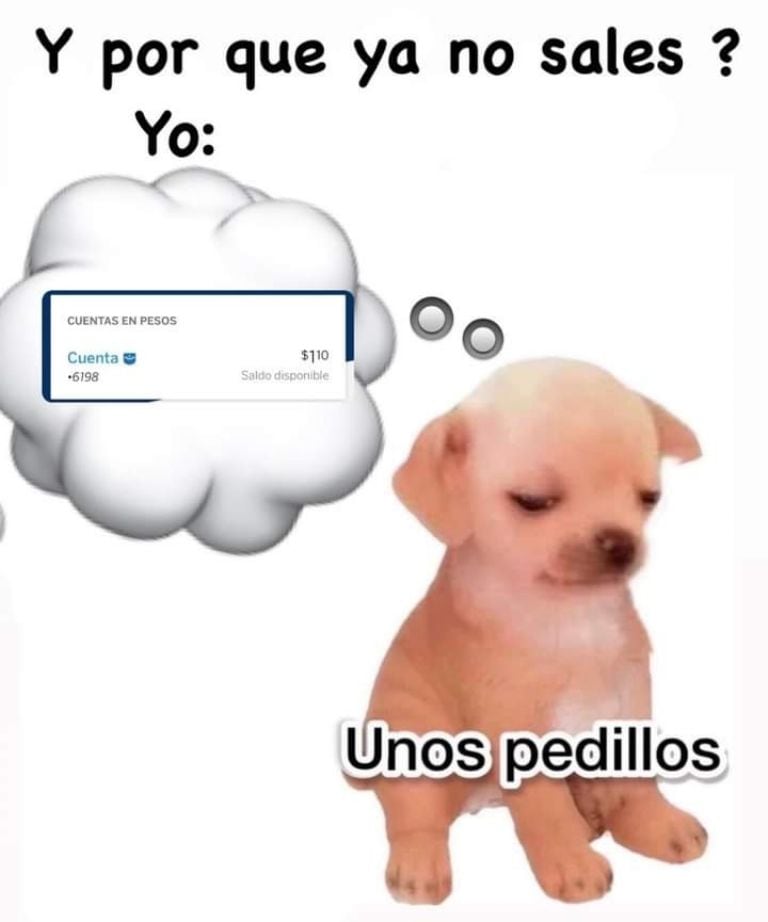 ’Kesi Kesi’ se llama el perrito del meme “unos pedillos”