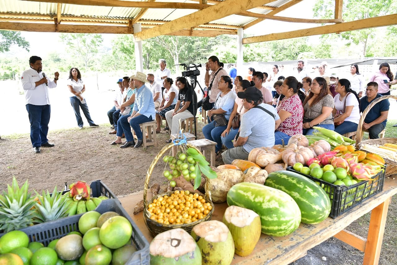 Sembrando Vida beneficia a 70 mil campesinos en Tabasco: Javier May.