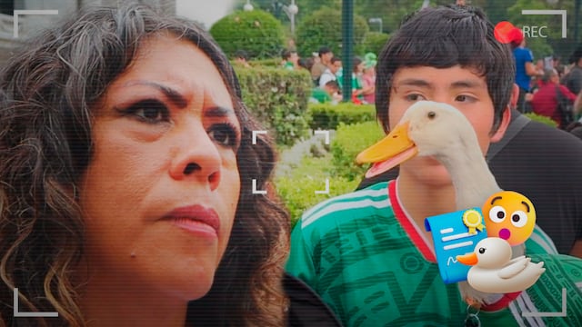 Mamá del Pato Merlín busca registro oficial para evitar que lucren con su imagen