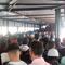 ¿Qué pasa en la Línea 9 del Metro CDMX hoy 17 de mayo? Usuarios denuncian largas filas para ingresar a Pantitlán