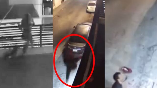 Perritos defienden casa de sus dueños y hacen que ladrón se aviente de la terraza