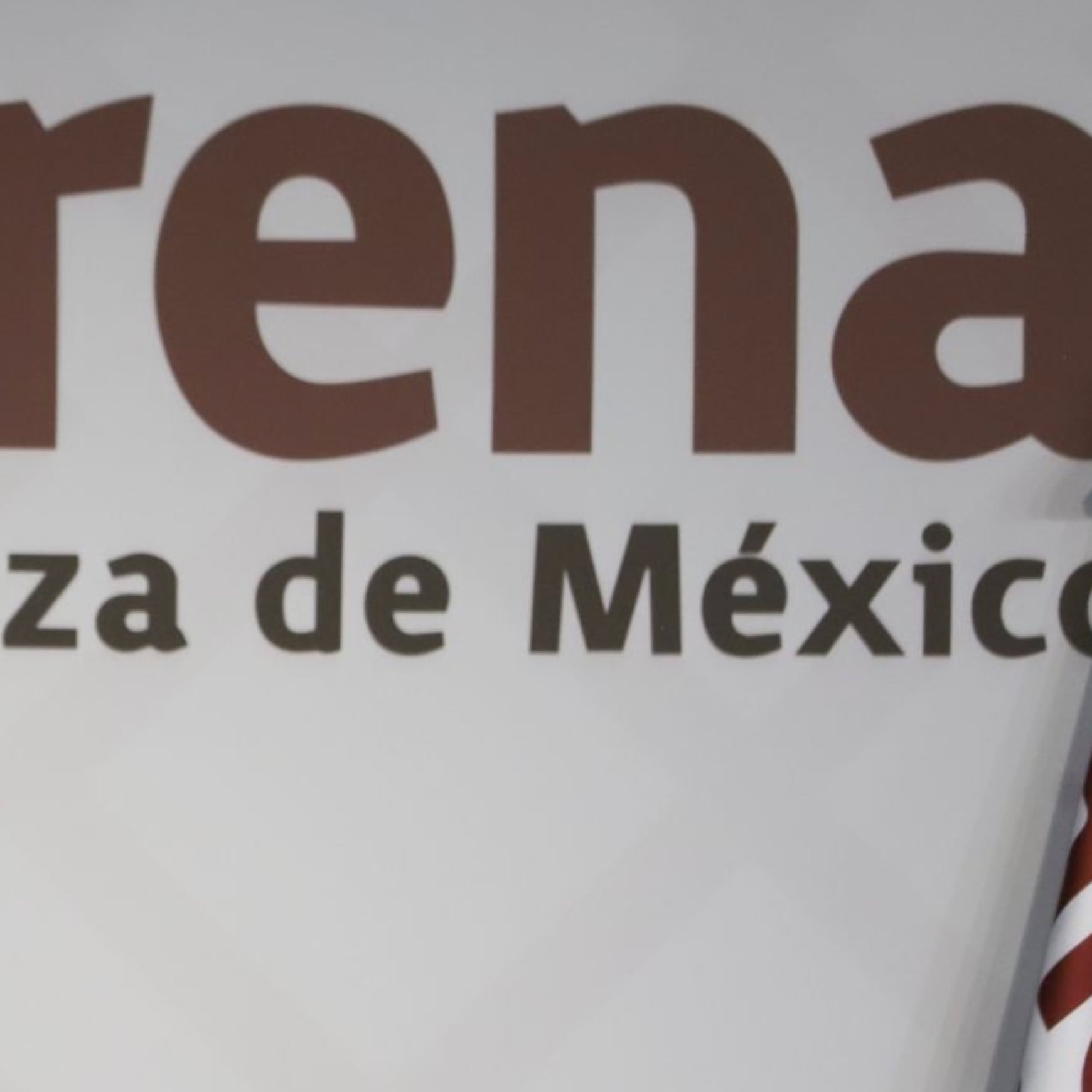 Asambleas de información: el órgano de la organización