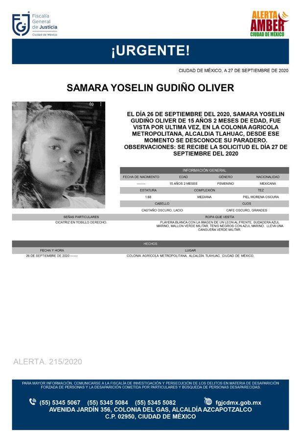 Ficha de búsqueda de Samara