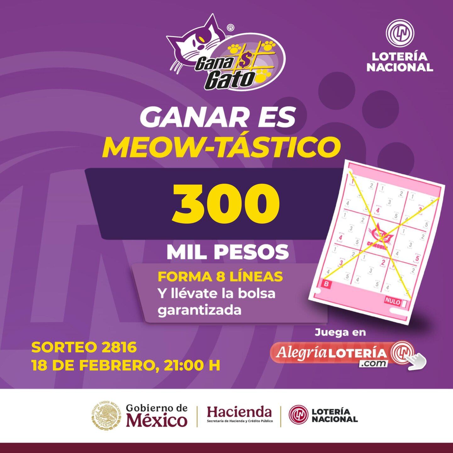 Resultados Sorteo Gana Gato 2816 de Lotería Nacional: Estos son los números ganadores