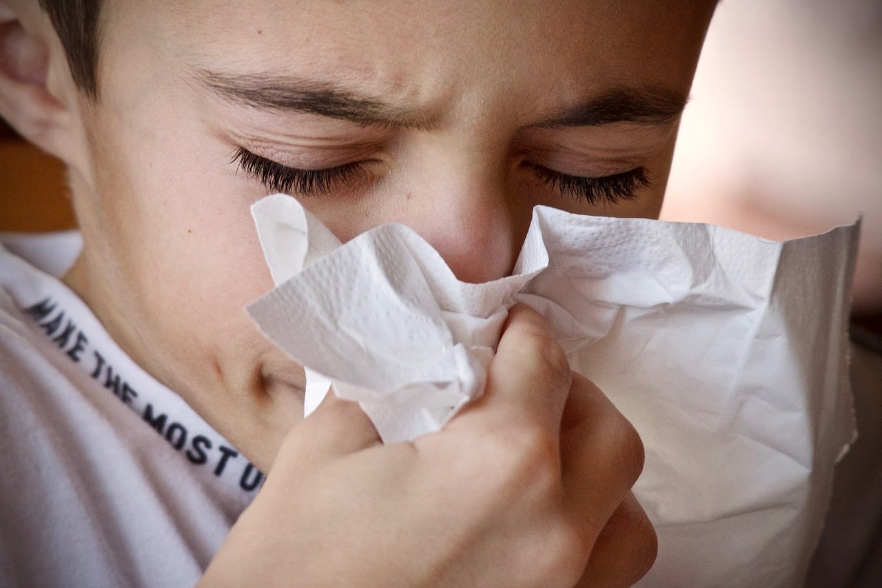 Virus Respiratorio