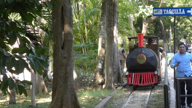 Trenecito en Zoológico el Centenario se descarrila