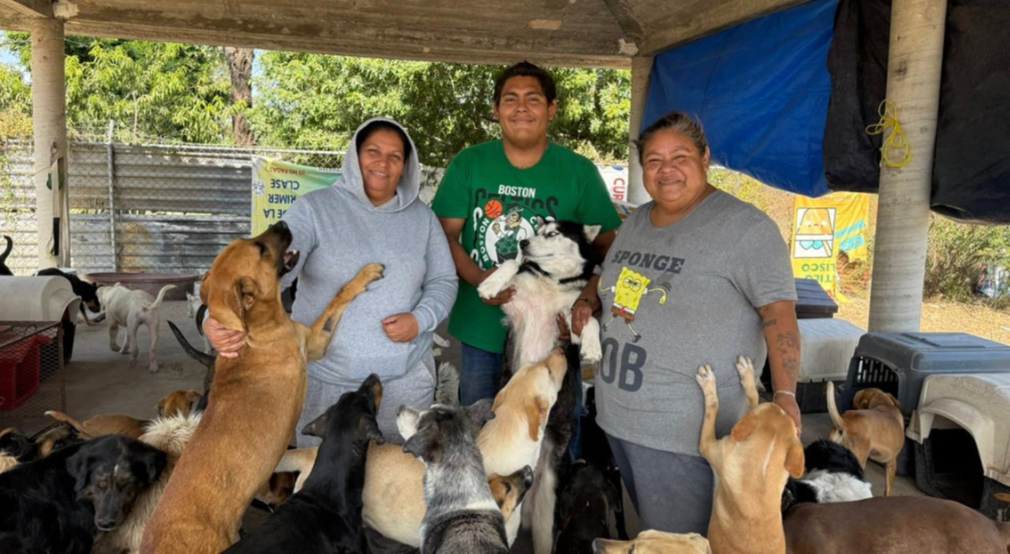 Albergue en León Goyito A.C.