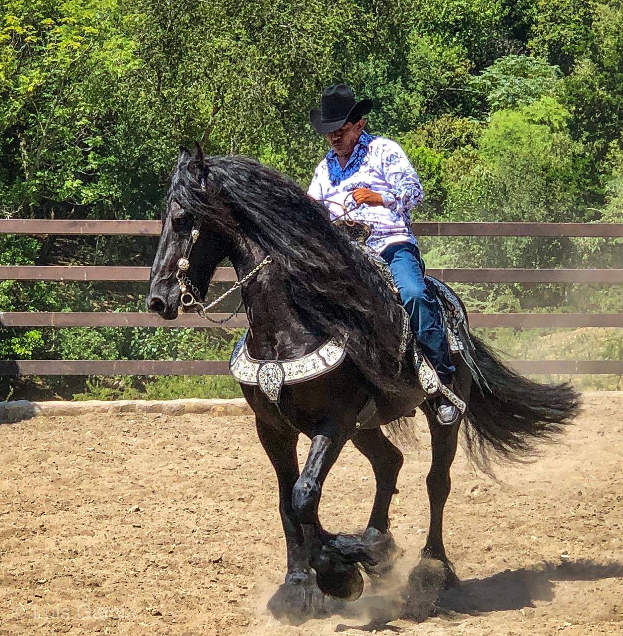 Gonzalo Peña, la Pantera del Corrido
