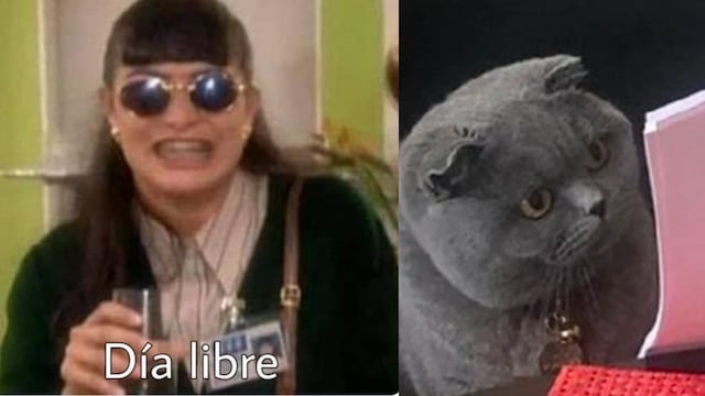 Meme sobre la caída de Canva.