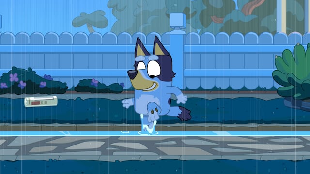 Bluey en la lluvia