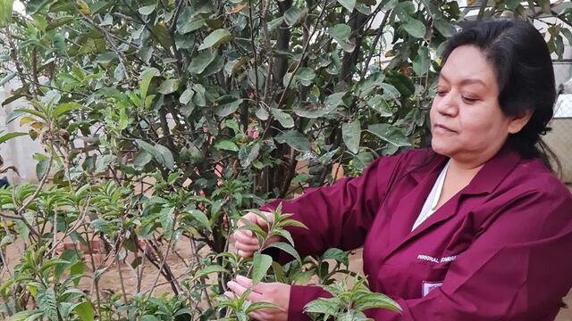 La doctora María del Carmen Cruz López