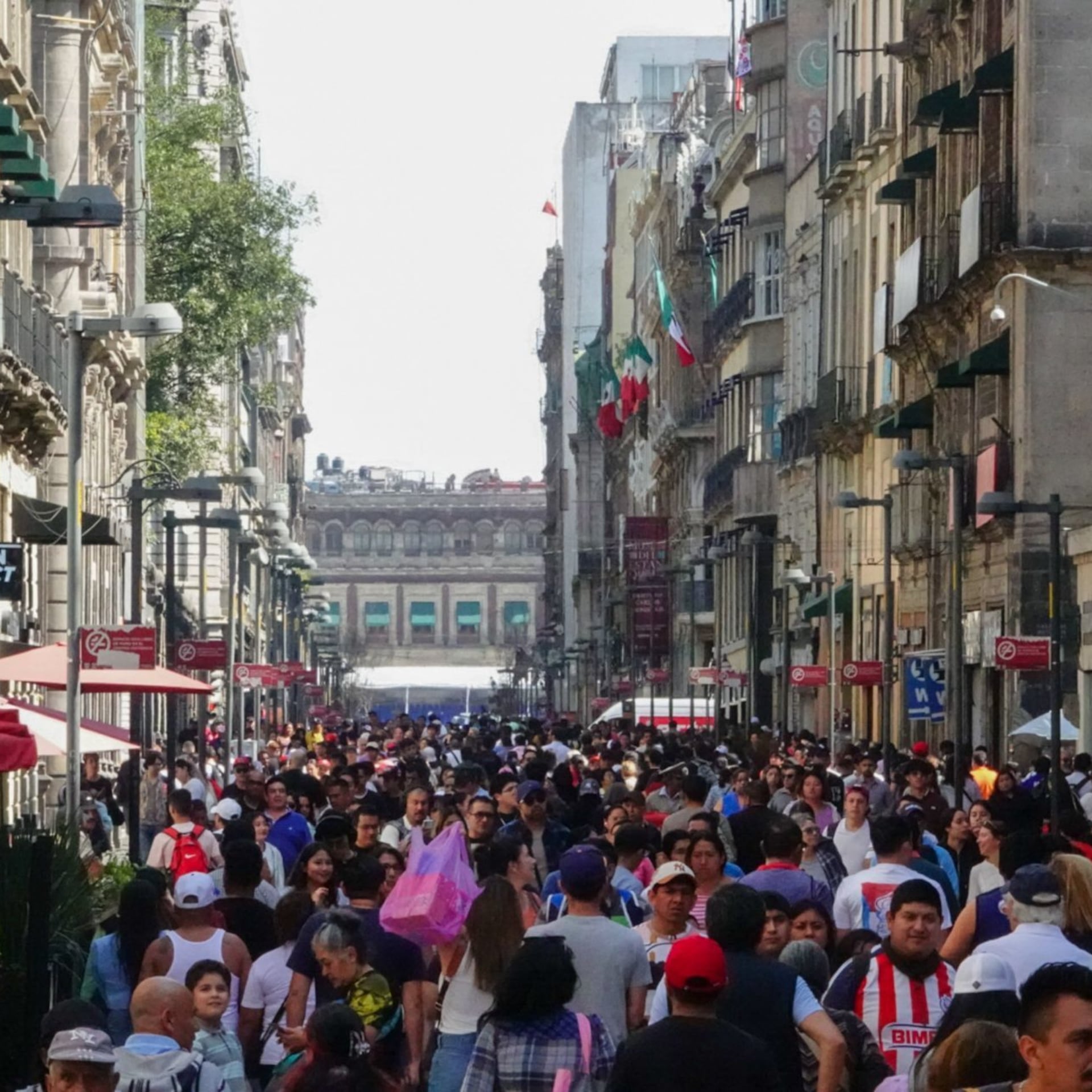 Calificadoras asignan notas con base a lo ideológico y no a criterios técnicos
