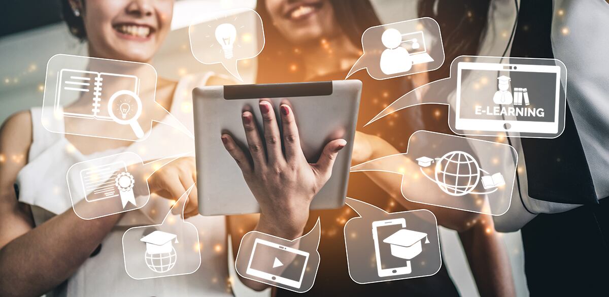 Tumba-burros Digital