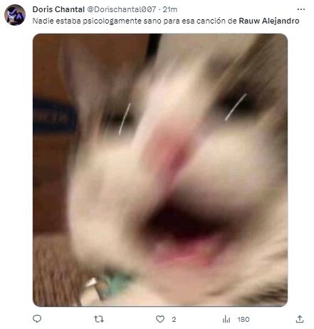 Memes por la canción que Rauw Alejandro dedicó a Rosalía