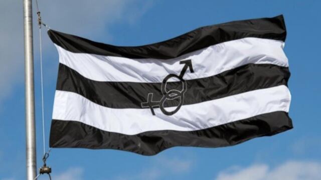 Bandera hetero
