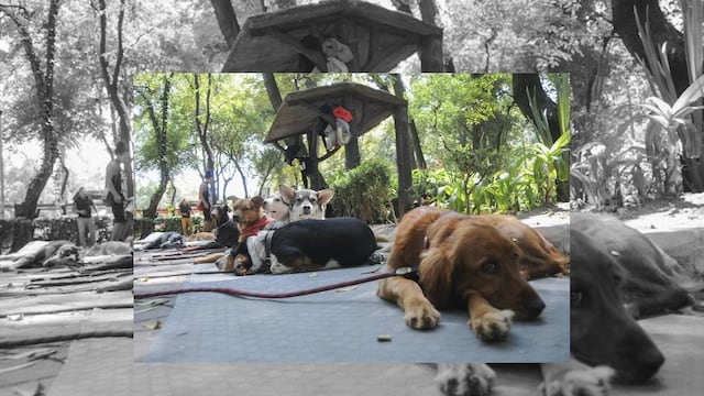 La mujer declaró ante la PGJDF en calidad de presentada, donde negó las acusaciones.