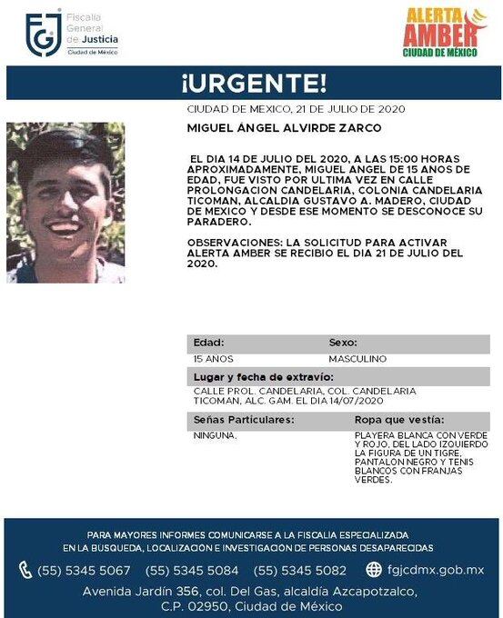 Ficha de búsqueda de Miguel.