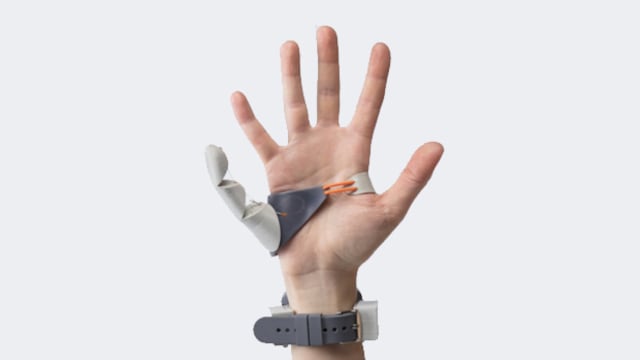 ‘Third Thumb’ de Danielle clode.