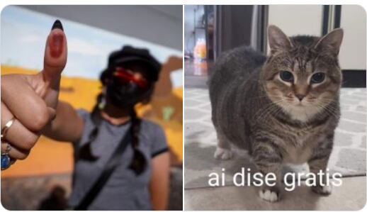 Los memes ya planean la ruta de cosas gratis por votar en estas elecciones del 2 de junio