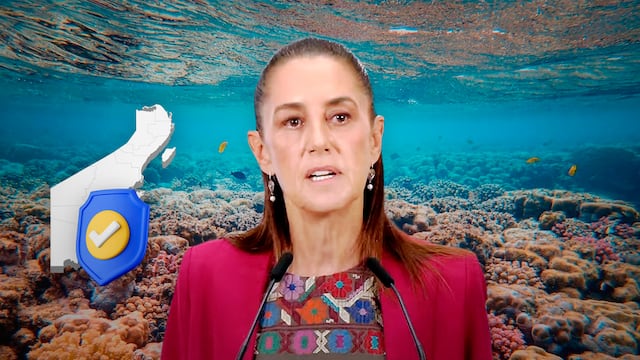 Mahahual: Sheinbaum plantea conservar arrecife antes de desarrollar proyecto