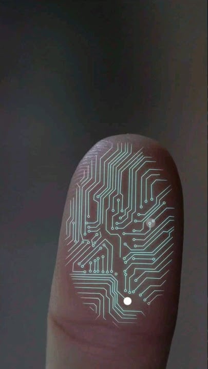 ¿Por qué no subir tu foto del dedo entintado en elecciones 2024? Hay un riesgo para tus datos biométricos