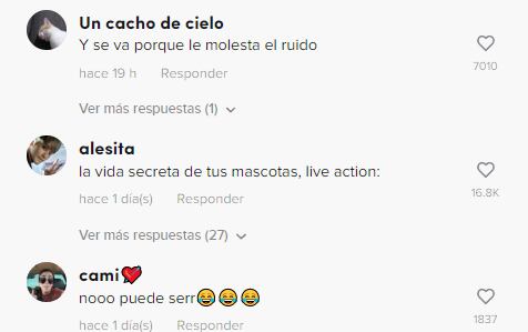 Reacciones a la perrita que prende la televisión y despierta a toda la familia