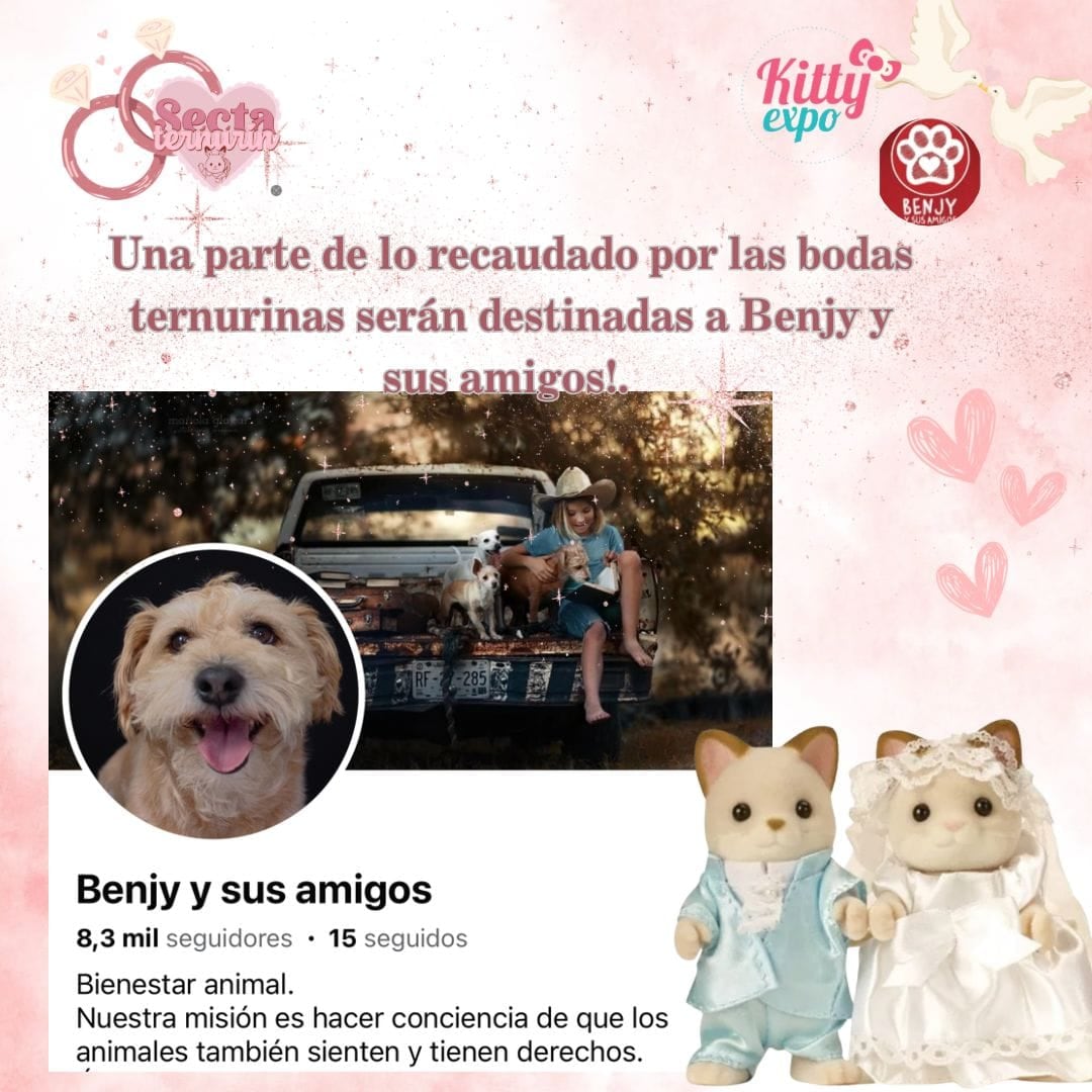 Recaudado en las bodas con estilo Ternurín será donado.