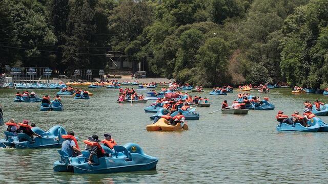Este sábado hay Lanchacinema