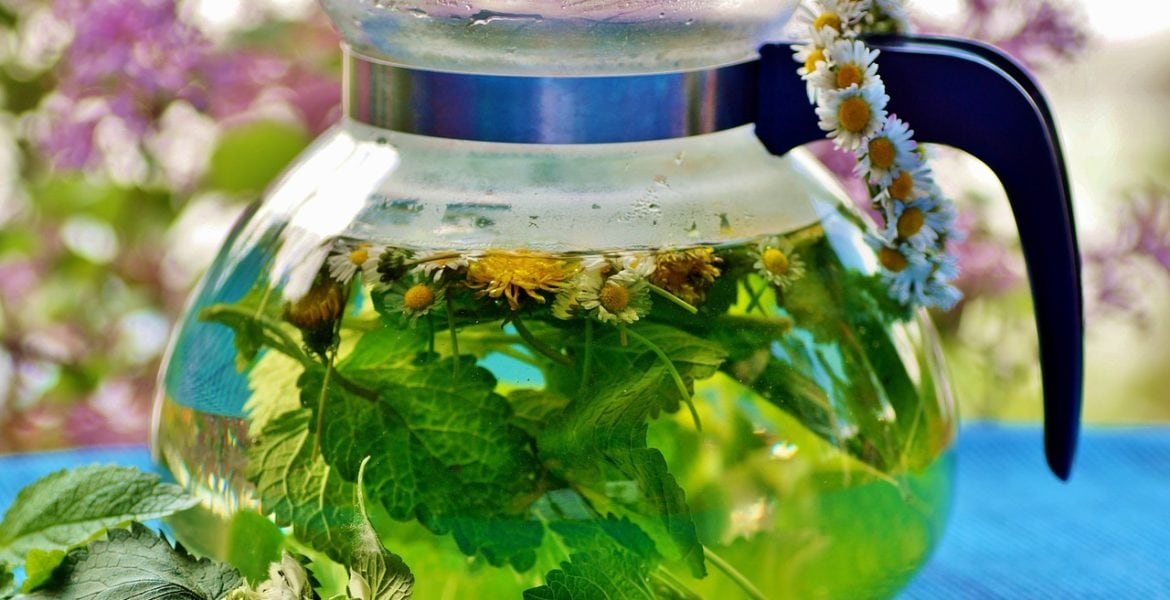 ¿Cómo recibir el equinoccio de primavera 2022? 5 rituales que puedes hacer