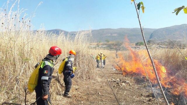 Incendio forestal
