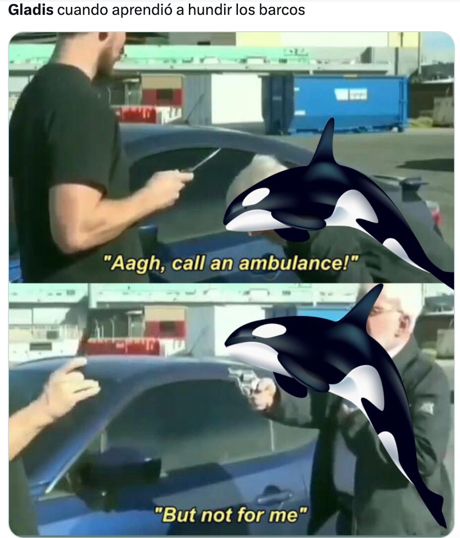 Memes de Gladis, la orca asesina