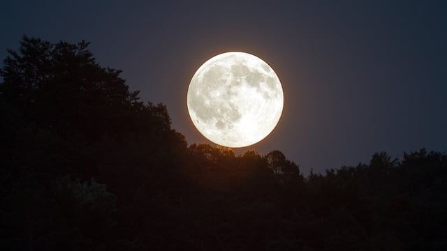 Luna llena