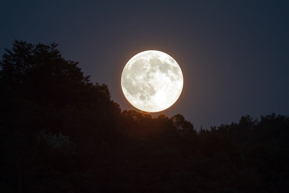 Luna
