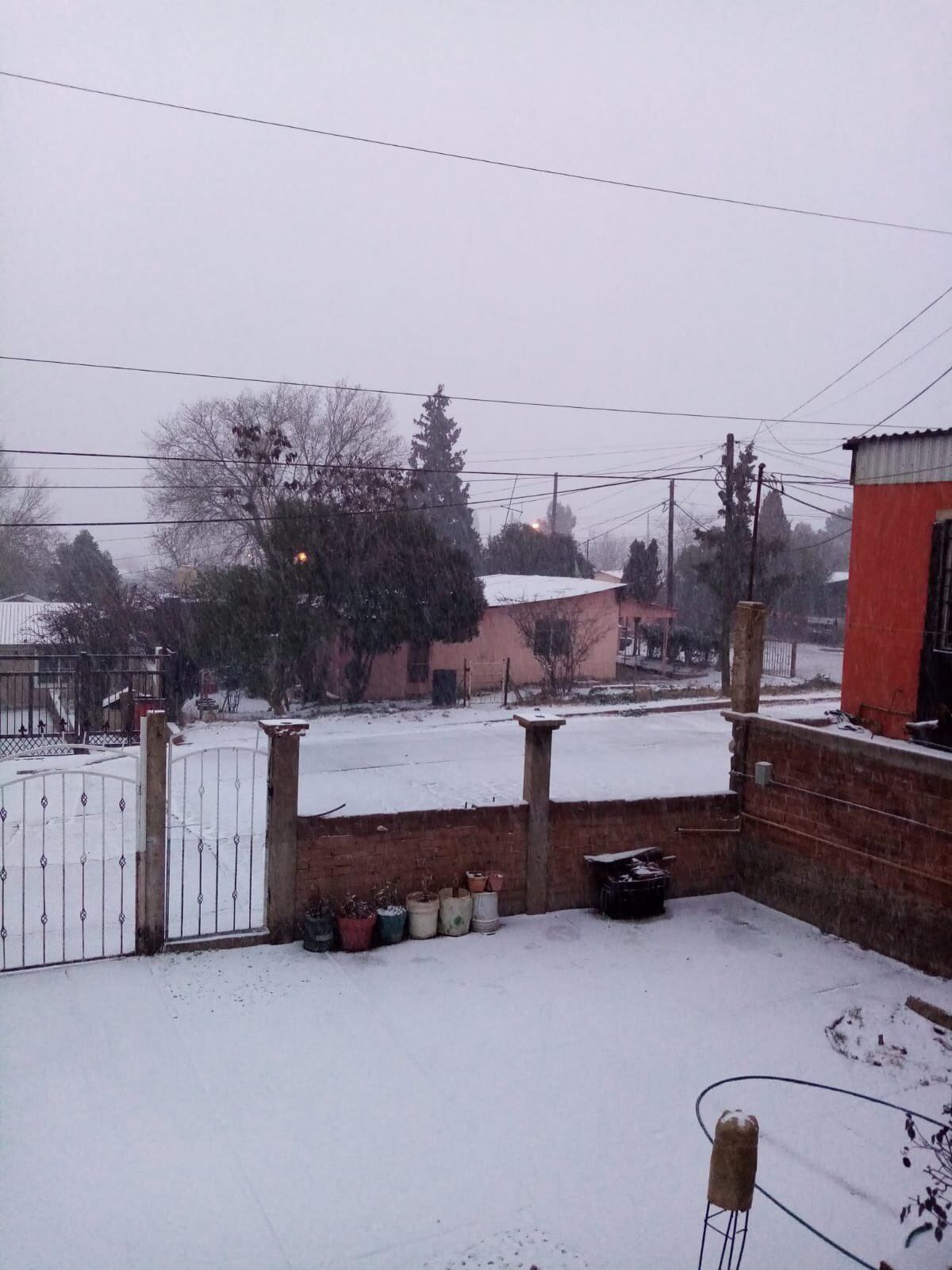 Nevada en Sonora hoy
