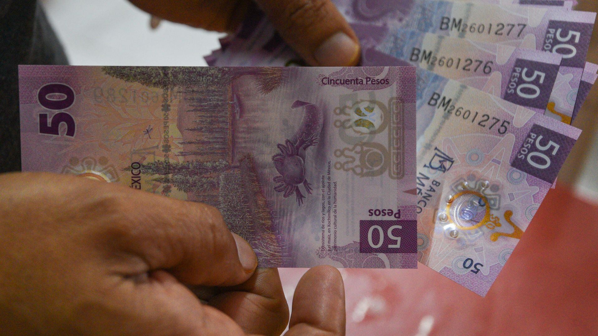 ¿Por qué no soy neoliberal?