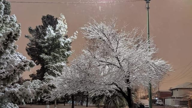 Nevada en Ciudad Juárez