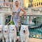 Mujer viaja por el mundo con sus 4 perros; los lleva en avión