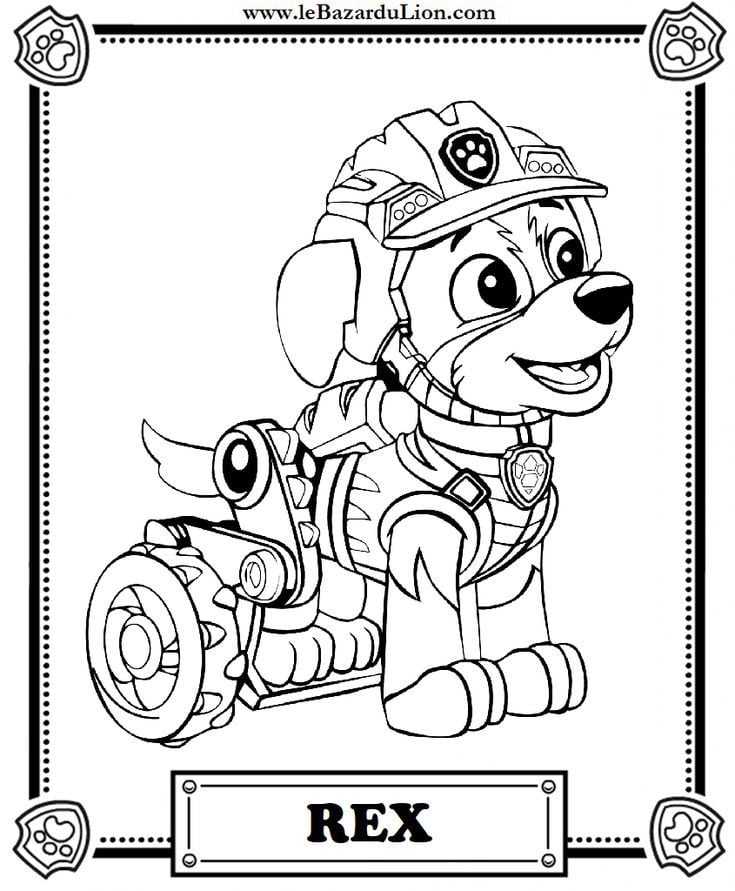Dibujos de Rex de Paw Patrol para imprimir y colorear