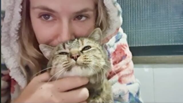 Se reencuentra con su gatita