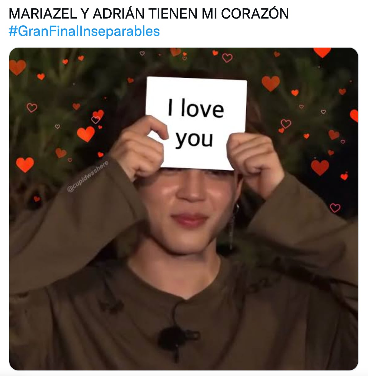 Meme por la victoria de Mariazel y Adrián en Inseparables
